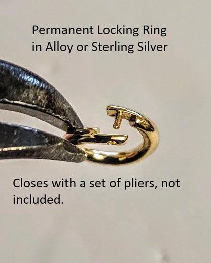 Gold Kitten Bell Kitty Cat Day Collar Choker Intimate Partner Necklace Coquette with Permanent Locking Option