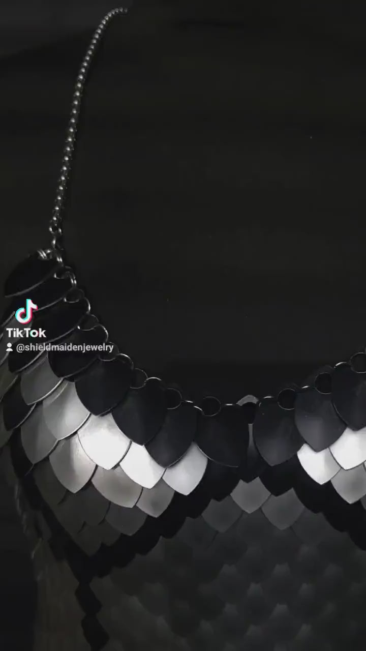 Dragon Rider Scalemail Armor Corset: Stainless Steel Cosplay Top